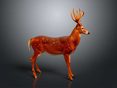 Brown Deer With White Spots And Antlers Standing On Gray Background 3d model