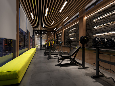 Modern Gym Fitness Gym model