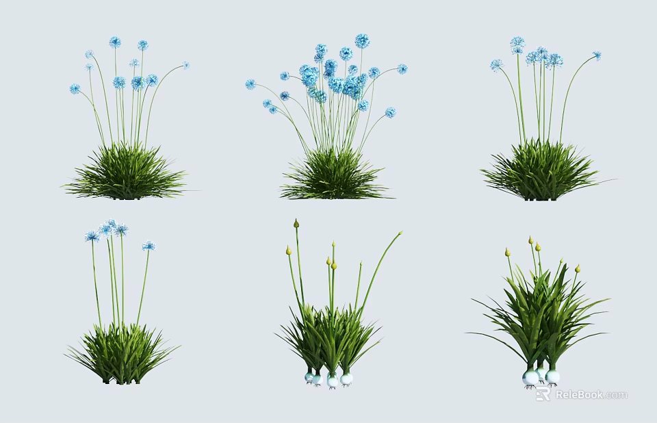 Green Grass with Blue Flowers in Different Clusters and Natural Shapes 3d model 