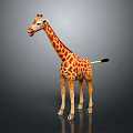 Standing Spotted Giraffe With Long Neck And Black Tufted Tail On Gray Gradient Background