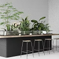 Modern Wooden Coffee Bar Counter With Lush Green Indoor Plants And Comfortable Bar Stools