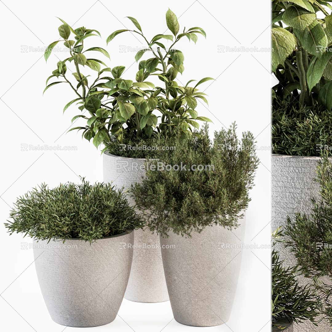 modern potted plant potted plant 3d model