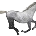 White Horse Running Dynamically With Flowing Mane And Strong Muscular Body