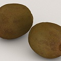 fruit kiwi 3d model