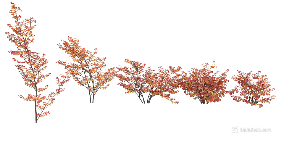 Red Orange Leaf Bushes With Dense Foliage Clustered In Garden Landscape Row 3d model 