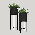 Modern Decorative Potted Plants With Black Pots And Stands Featuring Green Leaves