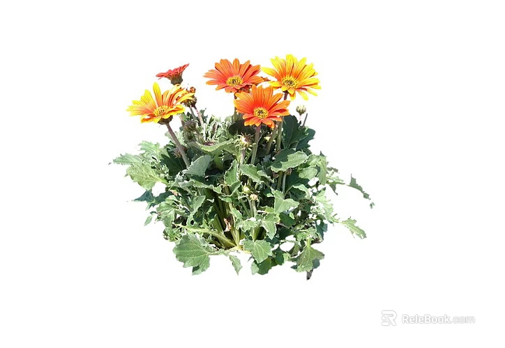 Vibrant Bush With Orange And Yellow Flowers And Lush Green Leaves 3d model 