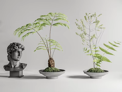 Two Bonsai Potted Plants With Green Fern Leaves And Classical Head Sculpture 3d model