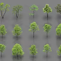 Various Arbor Trees With Green Foliage And Human Figure Scale 3d model