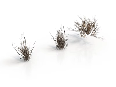 Three Clumps of Dry Grass on White Background with Natural Texture 3d model