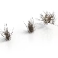 Three Clumps of Dry Grass on White Background with Natural Texture