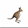 Realistic Kangaroo 3D Model in Standing Pose with Light Brown White Fur and Black Background
