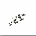 Various Types of Green Grass Clumps with Different Sizes for Landscaping Design