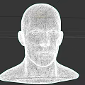 Detailed 3D Head Model Showcasing Facial Organs Eyes Nose Mouth Ears
