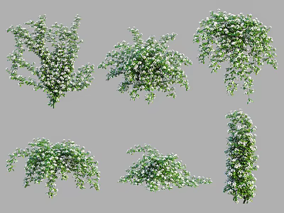 Green Plants With White Flowers Various Growth Forms For Garden Landscaping 3d model