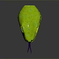 Green and Yellow Snake with Open Mouth Purple Interior Extended Tongue and Yellow Eyes