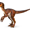 Realistic 3D Velociraptor Model With Brown Orange Stripes Standing Open Mouth