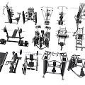 Diverse Sports Equipment Collection With Treadmill Dumbbells Weight Bench And Fitness Machines