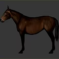 Realistic Detailed Brown Horse Standing In Side View On Gray Background
