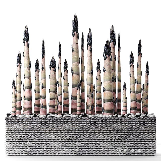 Bonsai Potted Plant With Green And Pink Bamboo Shoots In Textured Container 3d model 