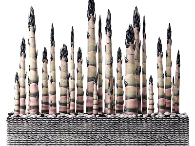 Bonsai Potted Plant With Green And Pink Bamboo Shoots In Textured Container 3d model