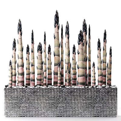 Modern Potted Plant 3d model