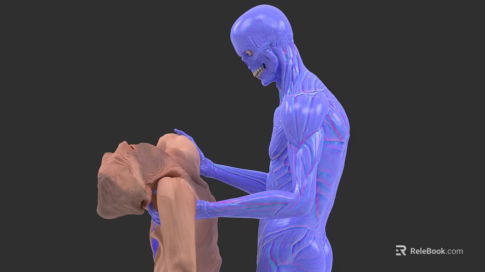 Human Organ System 3D Anatomical Model Demonstrating Muscular Structure Features 3d model 