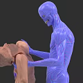 Human Organ System 3D Anatomical Model Demonstrating Muscular Structure Features 3d model