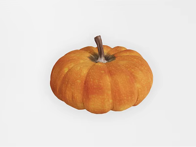 Organic Fresh Orange Round Pumpkin With Textured Skin And Brown Stem 3d model