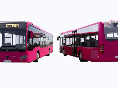 Modern Pink CITIRO City Buses Exterior Design With Clear Display And Side View 3d model