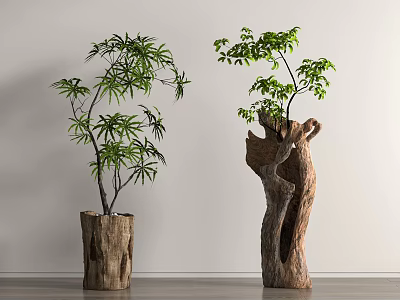Bonsai Potted Plants in Natural Tree Stump Pots with Green Leaves and Branches 3d model