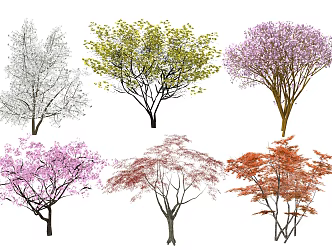 Modern Tree Color Leaf Plant Landscape Tree Model Tree Ornamental Tree Red Maple Color Leaf Tree 3d model