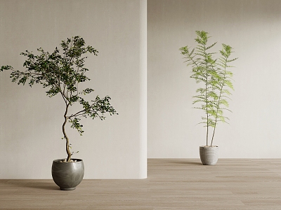 potted plant 3d model