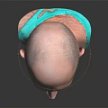 Male Character Bust Of Bald Man Wearing Green Tank Top On Dark Reflective Background