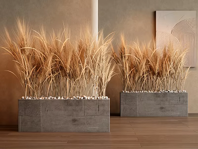 Golden Wheat Grass Potted Plants in Gray Concrete Planters with White Pebbles on Wooden Floor 3d model