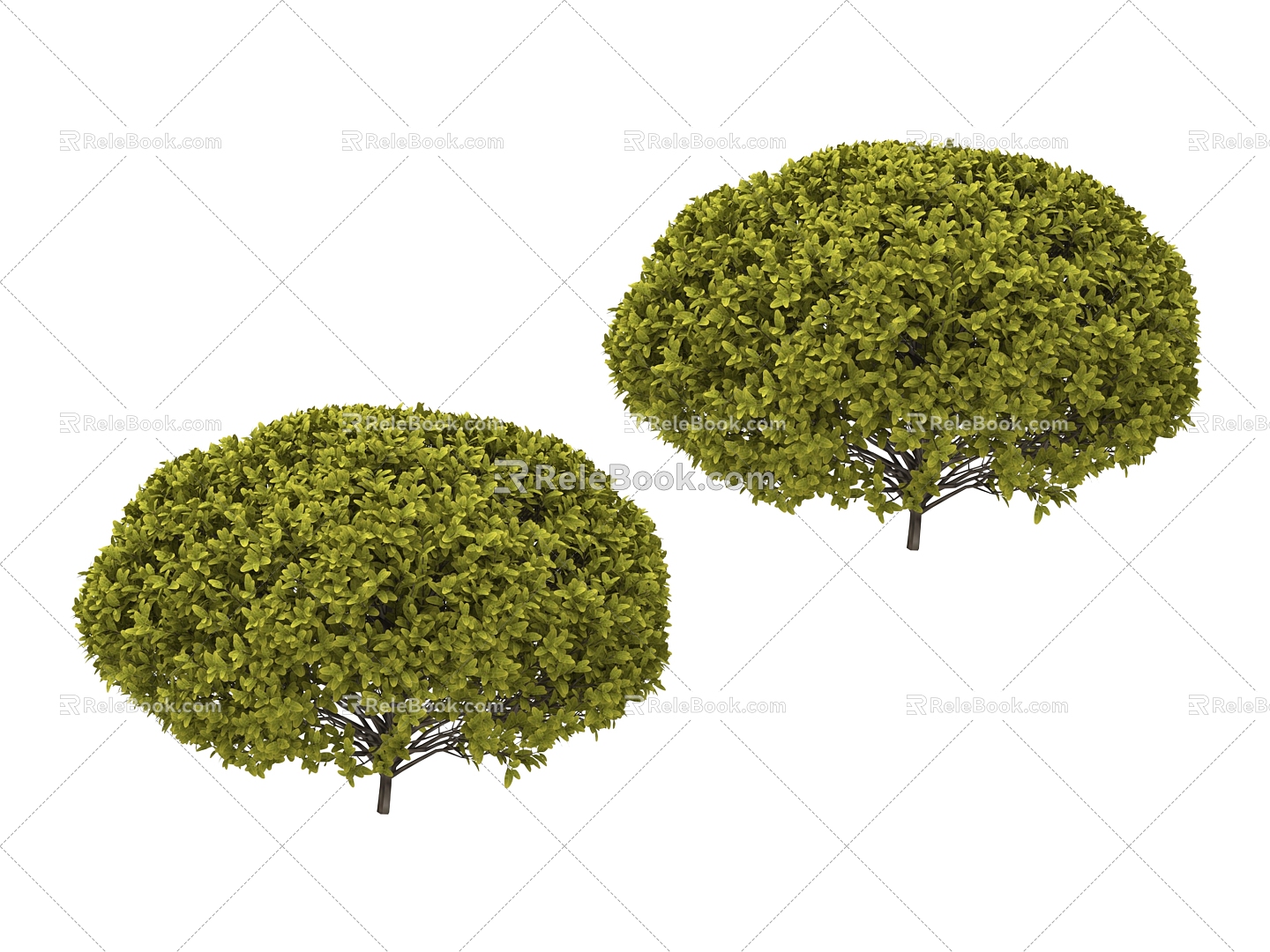 green plant tree 3d model