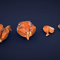 Roasted Chicken Display With Whole Birds And Pieces On Dark Background