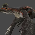 Realistic Flying Pterosaur With Red Gray Wings And Long Tail 3d model