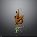 Vibrant Orange Botanical Plant Featuring Curved Structures And Green Stems Leaves