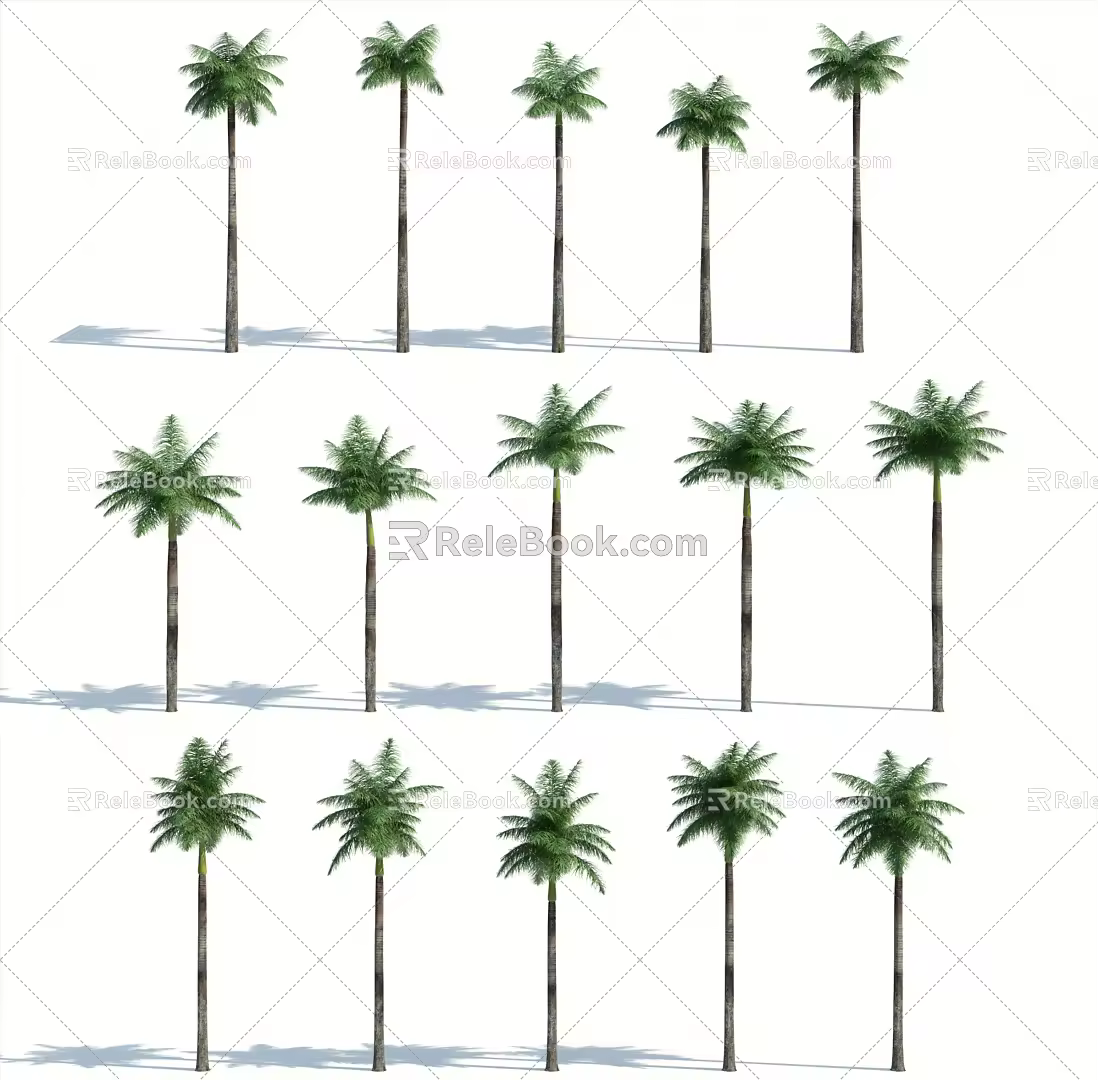 Modern Palm Tree 3d model