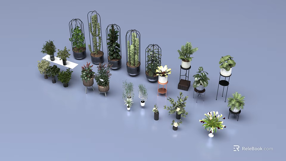 Various Indoor Plants in Stylish Pots and Decorative Stands for Home Decor 3d model 