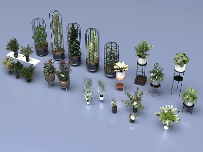 Various Indoor Plants in Stylish Pots and Decorative Stands for Home Decor 3d model