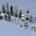 Various Indoor Plants in Stylish Pots and Decorative Stands for Home Decor