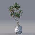 Indoor Tropical Plant with Green Leaves and Orange Fruits in White Honeycomb Textured Pot