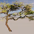 Graceful Arbor Featuring Curved Branches Lush Green Leaves And Purple Blooms
