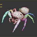 modern spider poisonous spider large spider reptile 3d model