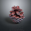 Close Up View Of Natural Pine Cone With Brown Scales And Textured Surface