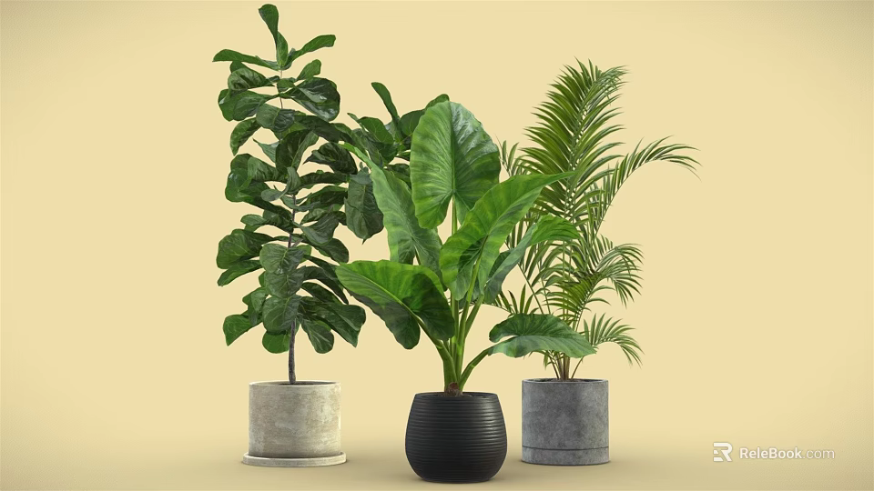 Various Green Leafy Potted Plants In Black And Gray Pots For Indoor Decor 3d model 
