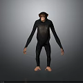 Anatomically Accurate Rendered 3D Model of Standing Chimpanzee on Gray Background