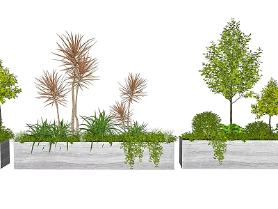 Flowers and Plants in Long Planters with Tall Palm like Plants Low Shrubs and Trailing Vines 3d model